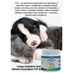 Добавка в корм для собак Canina Canhydrox GAG Forte (100г/60таб)