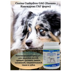 Добавка в корм для собак Canina Canhydrox GAG Forte (200г/120таб)