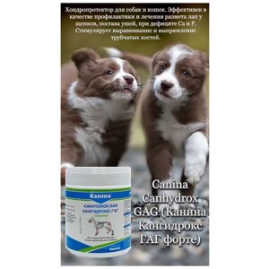 Добавка в корм для собак Canina Canhydrox GAG Forte (600г/360таб)
