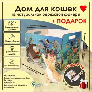 Домик для кошек Мини / Деревянный домик для кота / Лежак для кошек / Лежанка для кошки из фанеры / Домик для животных из дерева