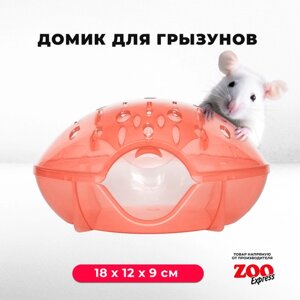Домик-переноска ZOOexpress для грызунов, хомяков, крыс и мышей, 18х12х9 см, с дверцей, оранжевый