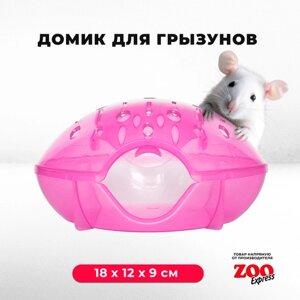 Домик-переноска ZOOexpress для грызунов, хомяков, крыс и мышей, 18х12х9 см, с дверцей, розовый
