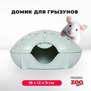 Домик-переноска ZOOexpress для грызунов, хомяков, крыс и мышей, 18х12х9 см, с дверцей, светло-зеленый