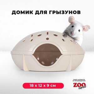 Домик ZOOexpress для грызунов, хомяков, крыс и мышей, 18х12х9 см, без дверцы, бежевый