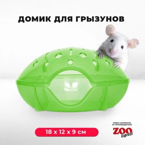 Домик ZOOexpress для грызунов, хомяков, крыс и мышей, 18х12х9 см, без дверцы, зеленый