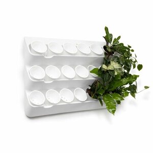 Фитомодуль "BOXSAND 21"100х65 см) вместимость 21 растение в комплекте с белыми горшками 1 л. Цвет белый