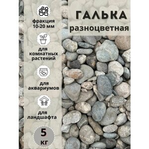 Галька разноцветная (пестрая) 10-20мм (5кг) Грунт для аквариума/террариума