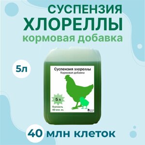 Хлорелла 5л - Кормовая добавка для несушек и бройлеров