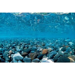 Homefish Фон Морские камни для аквариума, 30 х 1500 см