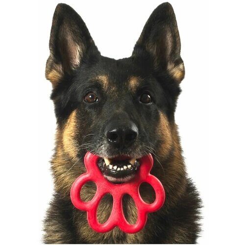 Игрушка Bama Pet Orma резиновая для собак (16,5 см, Случайный цвет)