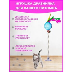 Игрушка для кошек интерактивная дразнилка для кошек, игрушка на присоске для котят мячик