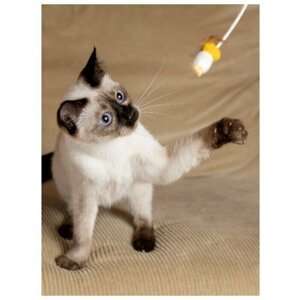 Игрушка для кошек Japan Premium Pet дразнилка из натурального кокона шелкопряда для возбуждения кошачьих инстинктов охотника к игре. В виде птички
