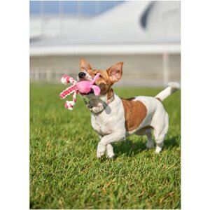 Игрушка для собак Japan Premium Pet гибридная из нежного флиса и прочного хлопка для интерактивной игры и чистки зубов для собак миниатюрных и мелких пород. Злой зайчик.