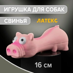 Игрушка для собак свинья со звуком 16х5,5х5 см латекс / ZooMoDa