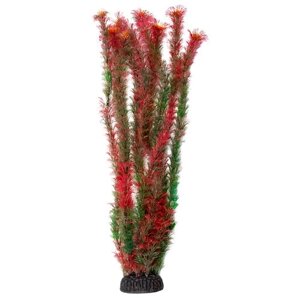 Искусственное растение Laguna Амбулия 50 см 50 см красный