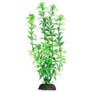 Искусственное растение Laguna Гемиантус 40 см 40 см зеленый