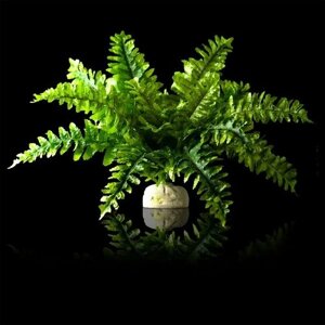 Искусственное растение - Папоротник Hagen Exo-Terra Boston Fern, small