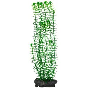 Искусственное растение Tetra Anacharis L 2 шт. 30 см зеленый