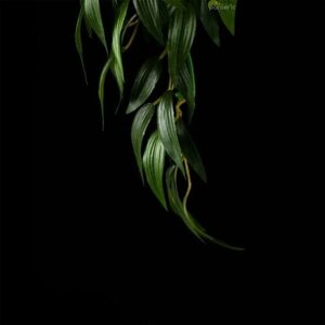 Искусственное растение в террариум Hanging Exo-Terra Ruscus Plant, medium