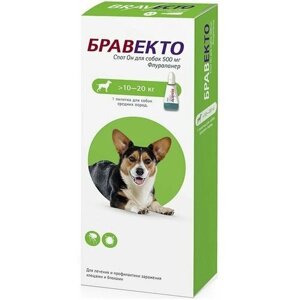 Капли Бравекто Спот Он 500 мг от блох и клещей для собак весом 10-20 кг, 1 пипетка