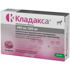Кладакса жевательные таблетки 500 мг (400 мг/100 мг)
