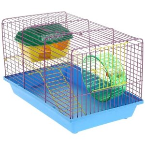 Клетка для грызунов "ЗооМарк", 2-этажная, цвет: синий поддон, фиолетовая решетка, 36 х 22 х 24 см