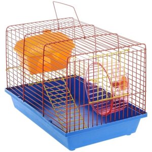 Клетка для грызунов "ЗооМарк", 2-этажная, цвет: синий поддон, оранжевая решетка, 36 х 22 х 24 см. 125ж
