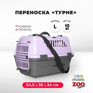 Клиппер-переноска для кошек и собак ZOOexpress Турне 54,5х36х34 см (L), с непрозрачной дверцей, коврик + ремень, фиолетовая