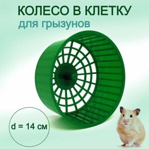 Колесо для хомяка, грызунов, крыс, бесшумное пластиковое в клетку беговое зеленое 14 см