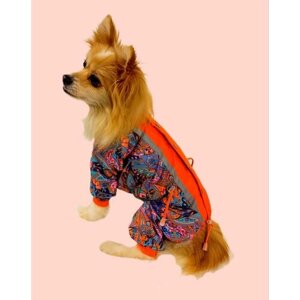 Комбинезон демисезонный "Двухцветный" КУЗеР на подкладке для породы шпиц р. 25 для девочки, одежда для собак, дождевик