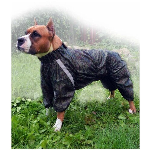 Комбинезон демисезонный непромокаемый дождевик для собак Мальчик 55