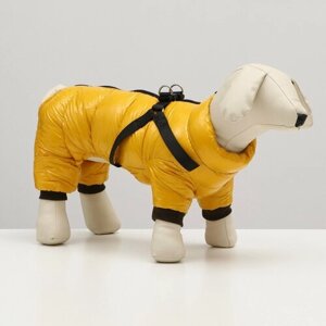 Комбинезон для собак со шлейкой "Моден", размер 8 (ДС 23, ОГ 30, ОШ 22 см), жёлтый 7980716