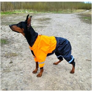 Комбинезон дождевик для собак крупных пород с регулировкой размера 60-70см Оранжевый / черный