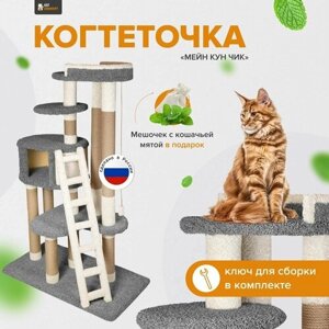 Комплекс для кошек с домиком и лежанкой для кошки когтеточка"Мейн Кун Чик" графит