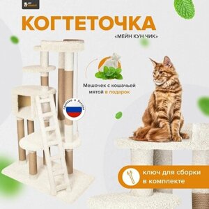 Комплекс для кошек с домиком и лежанкой для кошки когтеточка"Мейн Кун Чик" ваниль
