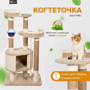 Комплекс для кошек с домиком, когтеточа высокая столбик "Шустрик" капучино