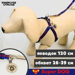 Комплект амуниции Пушистое счастье Super Dog, шлейка 28-47 см, поводок 120 см, адресник