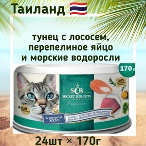 Консервы для кошек Secret Premium тунец с лососем, перепелиным яйцом и водорослями в желе, влажный корм,170г x 24шт