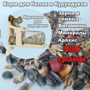 Корм для белок и бурундуков "Рыжик" с арахисом, витаминами и минералами, 500 грамм