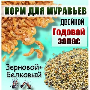 Корм для муравьев (Зерновой и белковый) годовой запас