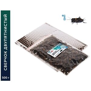 Кормовые насекомые "Замороженный сверчок двупятнистый имаго, от 2 см", 500 г, в термопакете
