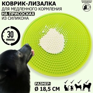 Коврик-лизалка / коврик для лизания / миска для медленного кормления на присосках Meovajio, зеленый, диаметр 18,5см, для кошек и собак всех пород