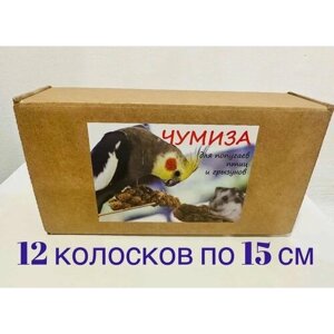 Лакомство для птиц и грызунов чумиза (колоски 12 шт), по 15 см 1 коробка