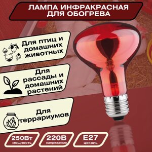 Лампа для фермерского хозяйства, инфракрасная зеркальная, ИК 250Вт Е27, излучает свет и тепло, для выращивания здорового молодняка птицы и животных