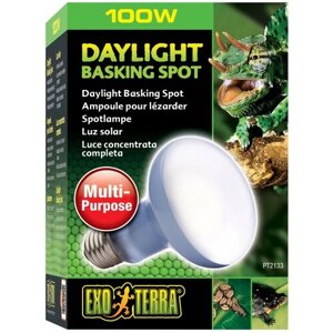 Лампа лампа накаливания Exo Terra Daylight Basking Spot (PT2133) , 780 люмен , 100 Вт , белый