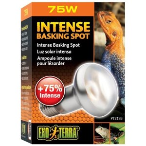 Лампа лампа накаливания Exo Terra Intense Basking Spot (PT2136) , 580 люмен , 75 Вт