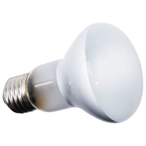 Лампа лампа накаливания Repti Zoo BEAM SPOT (63050BS) , 50 Вт , белый