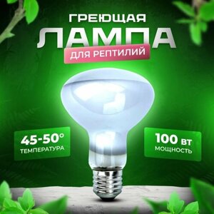 Лампа обогрева для террариума и рептилий PetPetZone, 100 Вт