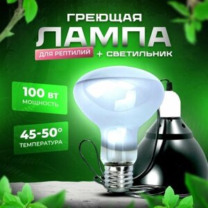 Лампа обогрева со светильником-колпаком для террариума PetPetZone, 100 Вт