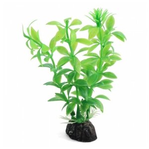 LD1047 Растение аквариумное Гемиантус 100мм зеленый (2 шт)